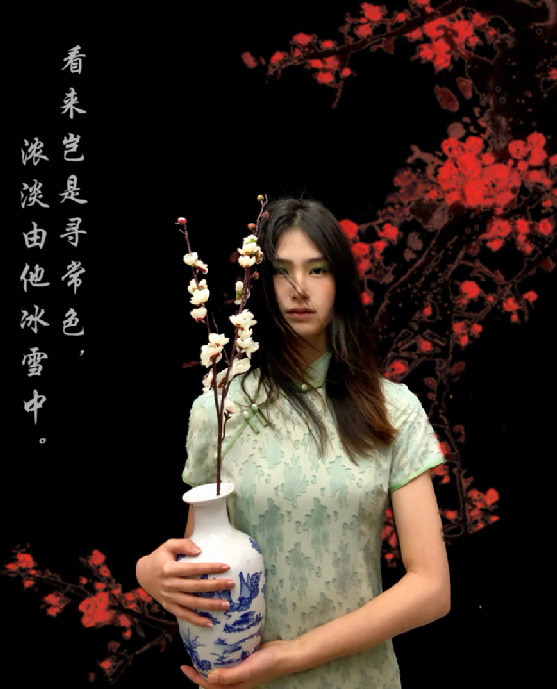 以“梅”赏诗,“定格”暗香涌动
