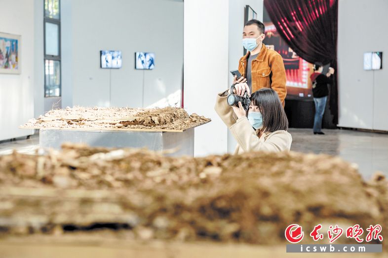 市民参观后湖艺术周展览作品。均为长沙晚报全媒体记者 陈飞 摄
