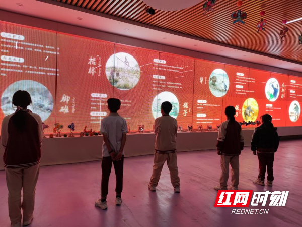 图片1.png 图片1.png