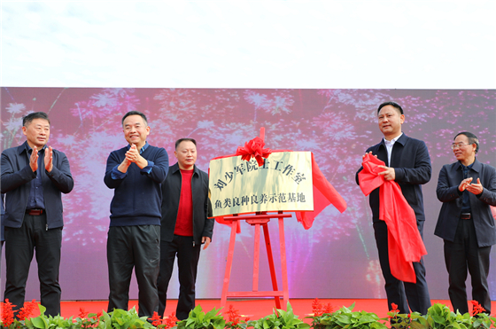 图片5.jpg 图片5.jpg