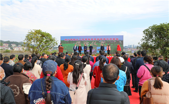 图片1.jpg 图片1.jpg