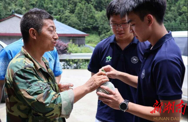 湖南师范大学“领梦者·弘帆”暑期社会实践团深耕渣坪乡,探寻“三农”解题之道 湖南师范大学“领梦者·弘帆”暑期社会实践团深耕渣坪乡,探寻“三农”解题之道