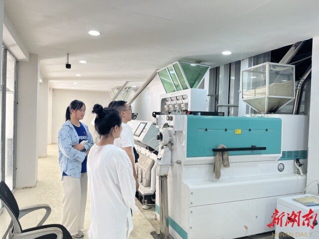 湖南师大暑期实践团情系绥宁:多维度助力乡村振兴 湖南师大暑期实践团情系绥宁:多维度助力乡村振兴